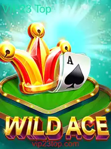 Descubra o Universo de WildAce: Um Mergulho no Mundo da Aventura